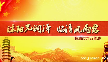 临清六五普法